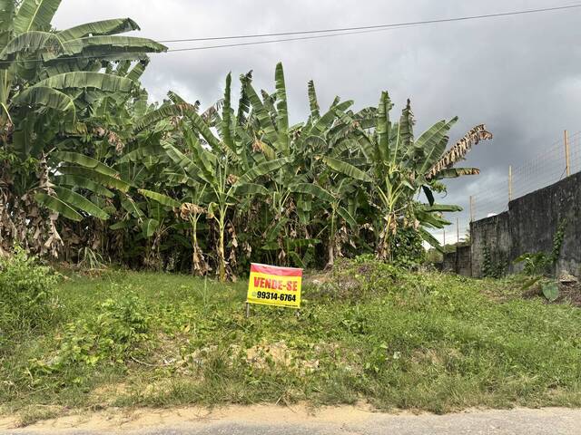 Terreno para Venda em Manaus - 5