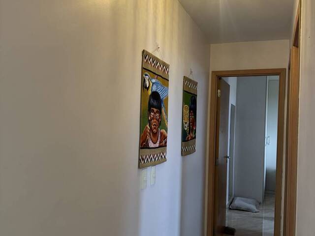 #244life - Apartamento para Venda em Manaus - AM - 3